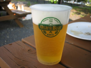 IMG_4082 IMG_4082