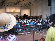 IMG_4116 IMG_4116