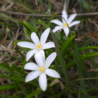 R0013089 R0013089
