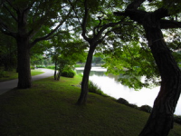 R0013645 R0013645