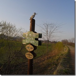 R0016379