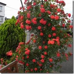 R0016463