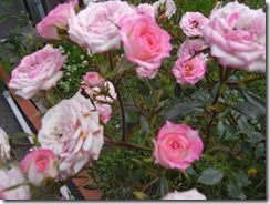 R0016474-1