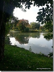 IMG_20121014_122629