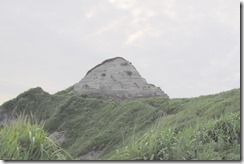 DSC_4565