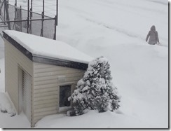 CameraZOOM-20140126120116812