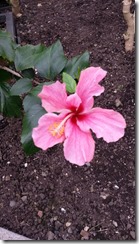 20140321_153226