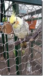 20140321_153806