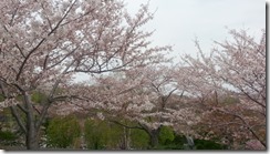 20140505_114936