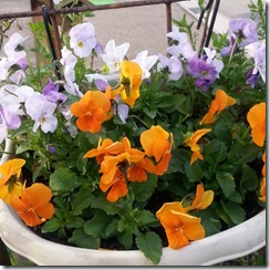 20140511_160640