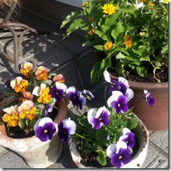 20140511_160705