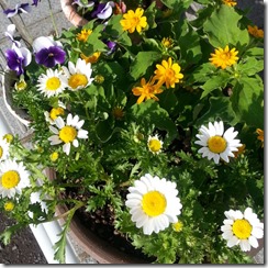 20140511_160723