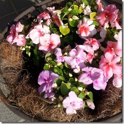20140511_160747