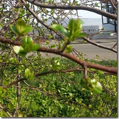 20140511_161037