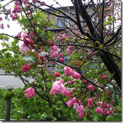 20140518_114247
