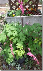 20140518_114409