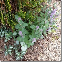 20140518_114420