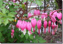 20140521_153753