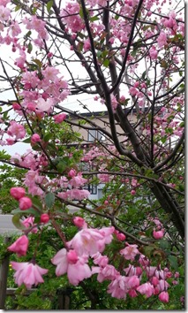 20140521_154009
