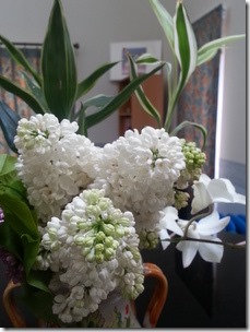 20140527_114629