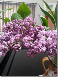 20140527_114640