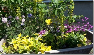 20140602_112833