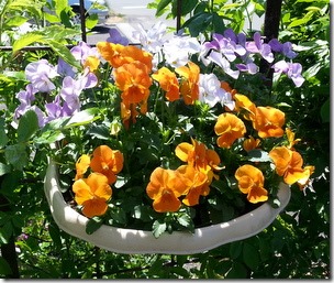 20140602_112917