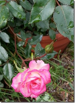 20140608_145107