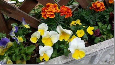 20140608_145230