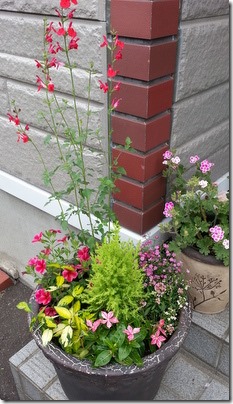 20140610_135219