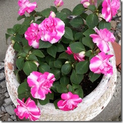 20140610_135343