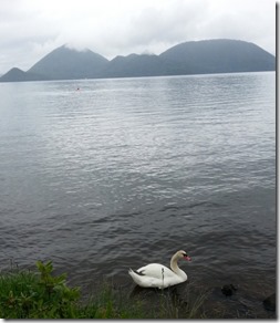 20140615_111347