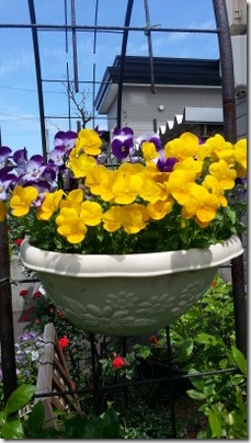 20140617_111813