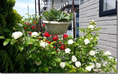 20140628_135103
