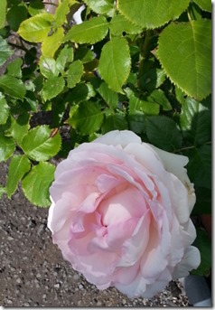 20140628_135256