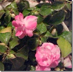 20140713_200009