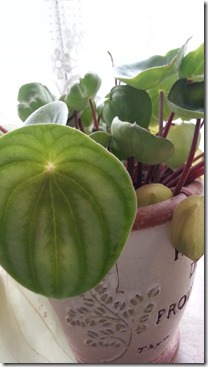 20140722_122750