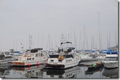 DSC_7524