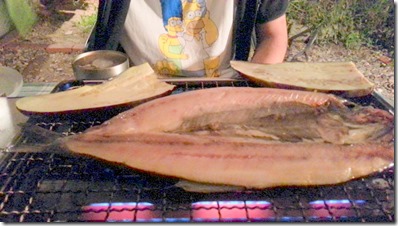 20140830_202454-001