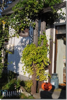 DSC_7804
