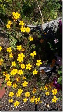20141015_124611