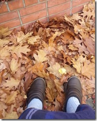 20141108_122604