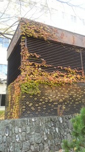 wpid-20141108_122401.jpg