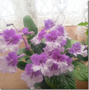 20150311_121214