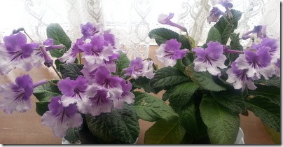 20150311_121307