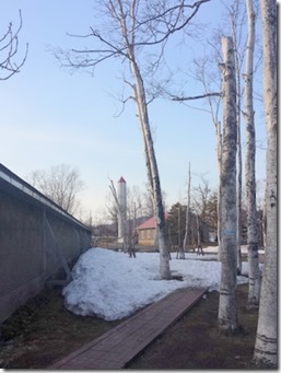IMG_20150404_161748