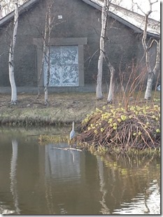 IMG_20150404_170658