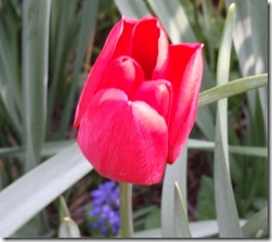 IMG_20150503_165917