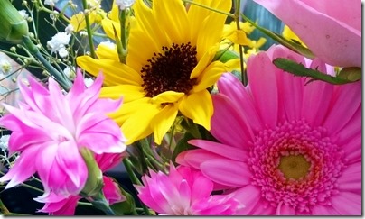 2015-06-02-13-14-07_deco