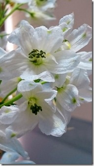 2015-06-16-12-18-44_deco